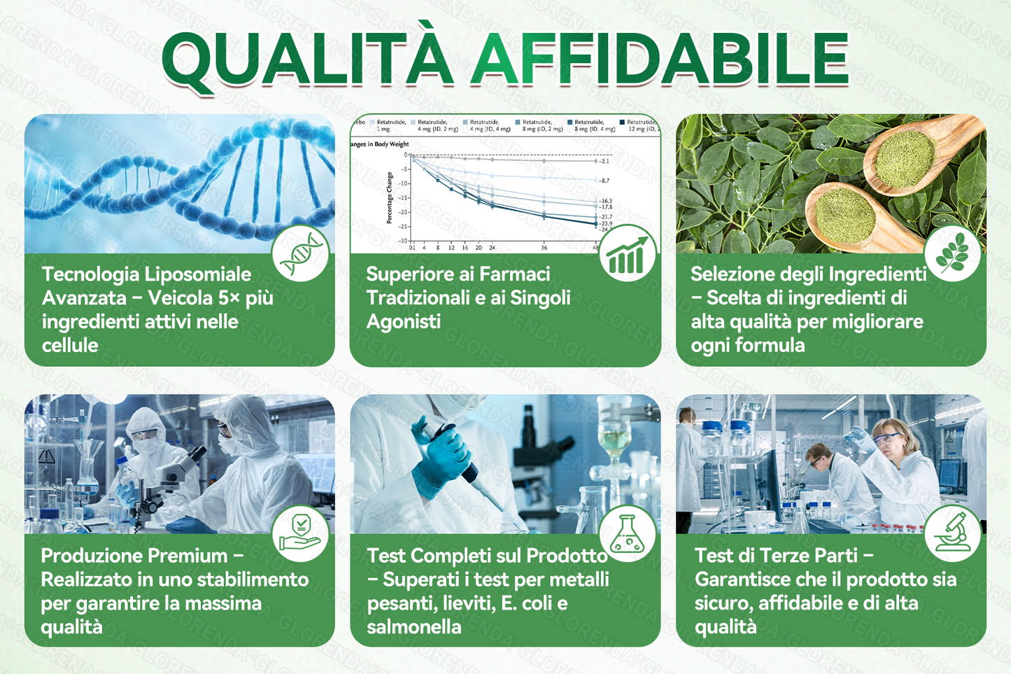 𝐒𝐭𝐨𝐫𝐞 𝐔𝐟𝐟𝐢𝐜𝐢𝐚𝐥𝐞 | 🔥 Più di 10 scatole! Sconto del 30%! Il patch GLORENDA® Moringa · Berberina × NAD+ 10-in-1, testato e sicuro, supporta il peso, la glicemia, la digestione e l'energia con 4-6 patch per risultati duraturi!